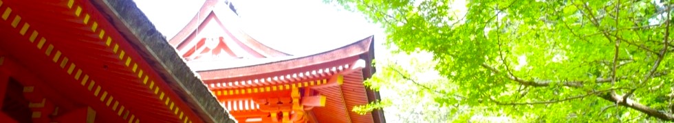 季節のおすすめ