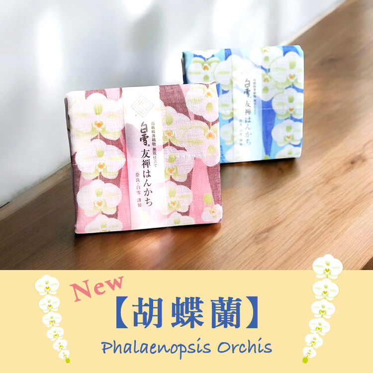 胡蝶蘭